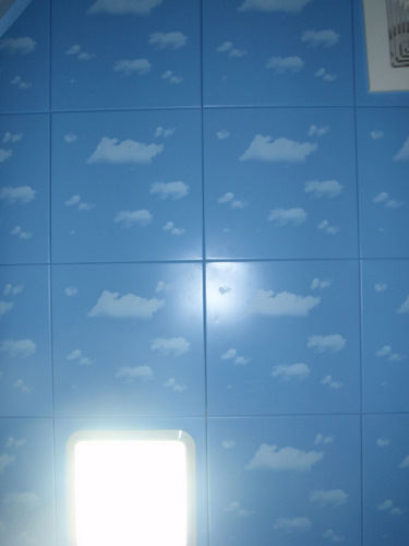 Our Bathroom Ceiling.